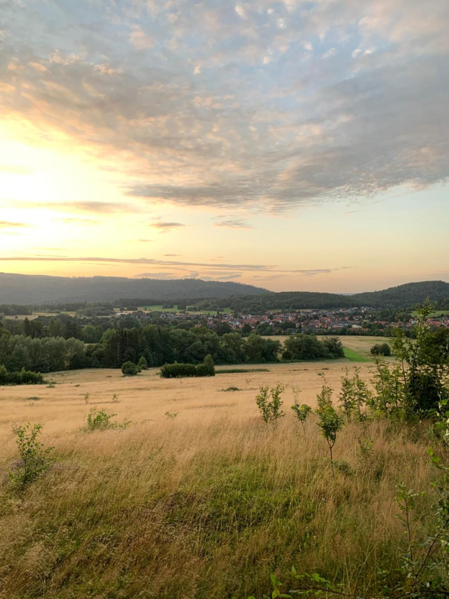 Wolfs-Blick Villa Langelsheim Eksteriør billede